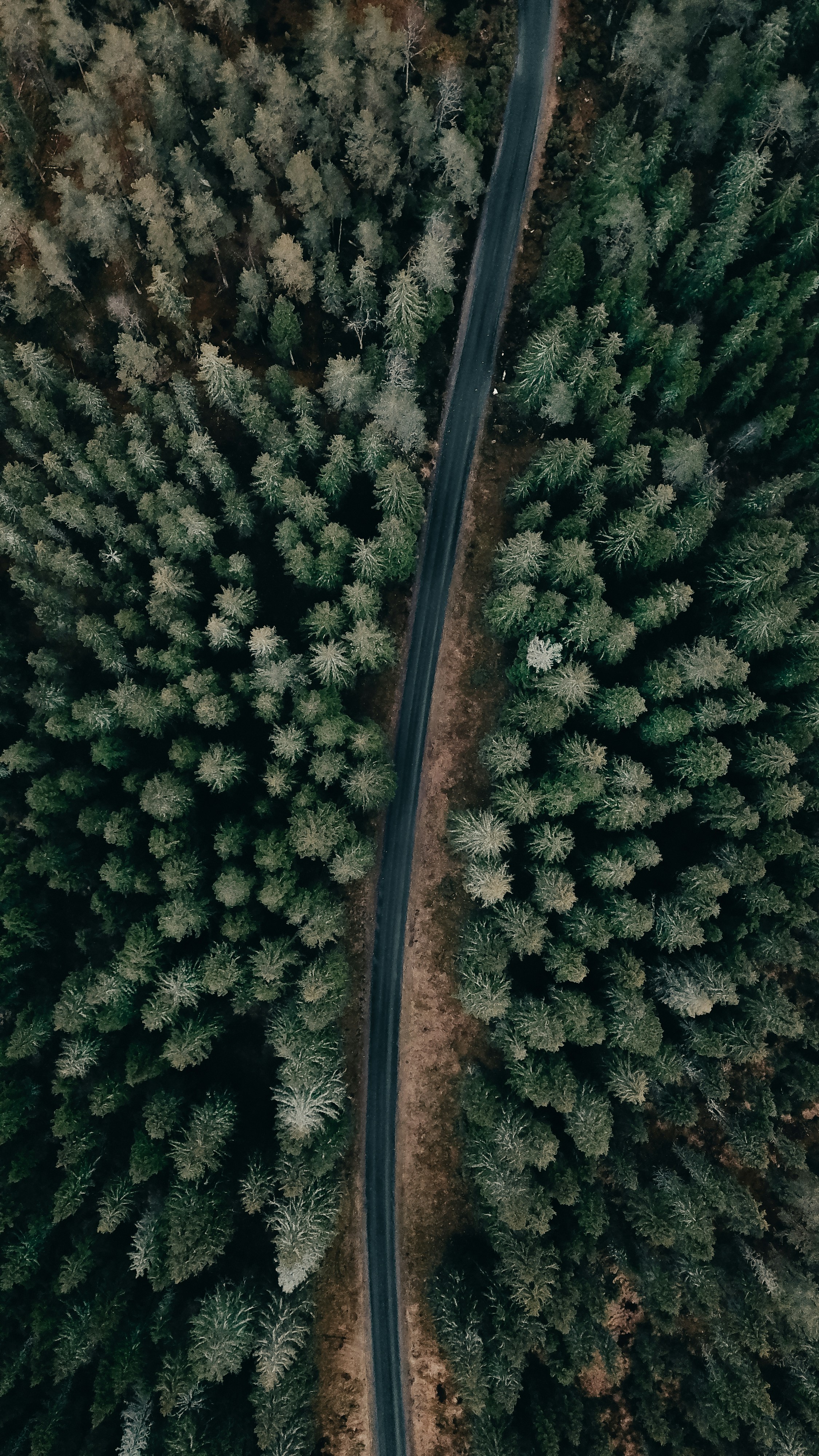 Photo by secondsight