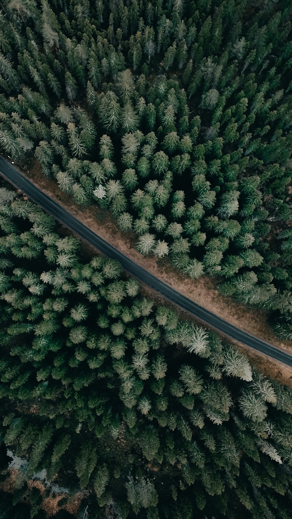 an aerial view of a road surrounded by trees