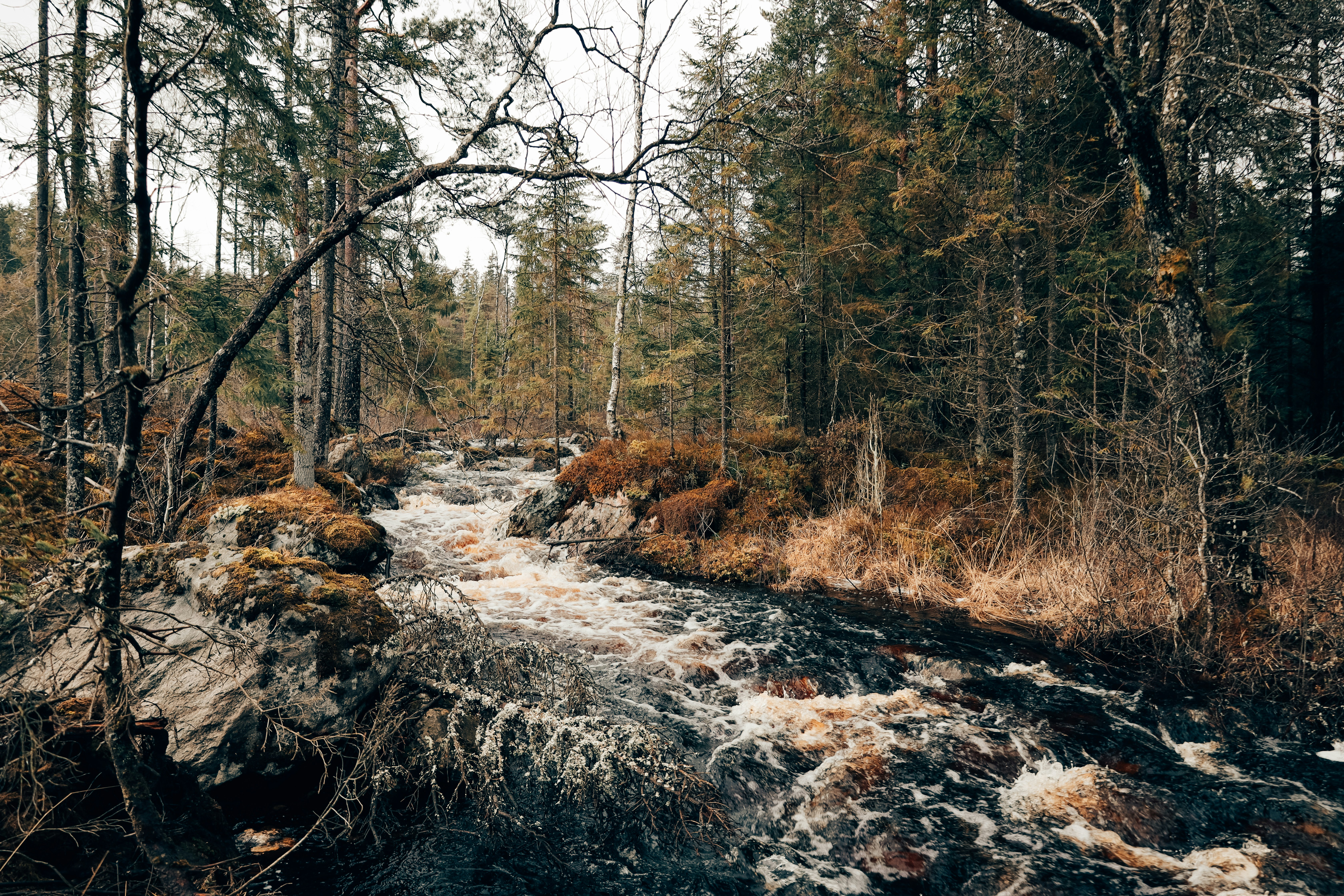 Photo by secondsight