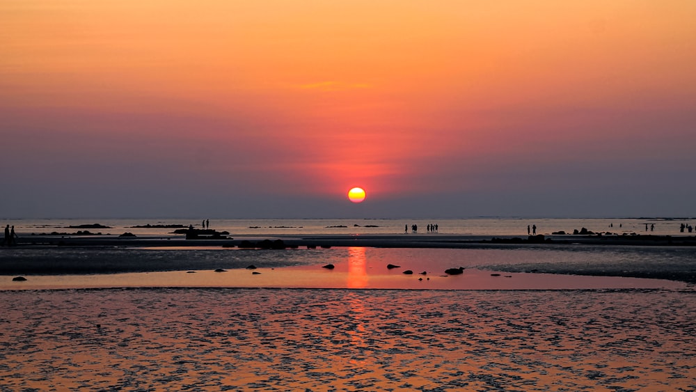 a sunset over a body of water with birds in the water