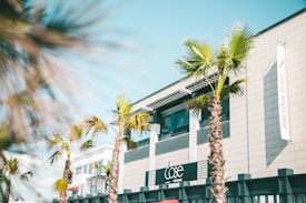 A modern shopping mall exterior featuring palm trees in the foreground. The building has a sleek design with a large sign displaying the name 'Grand Majidi Mall'. Bright sunlight enhances the image's clarity, casting soft shadows.