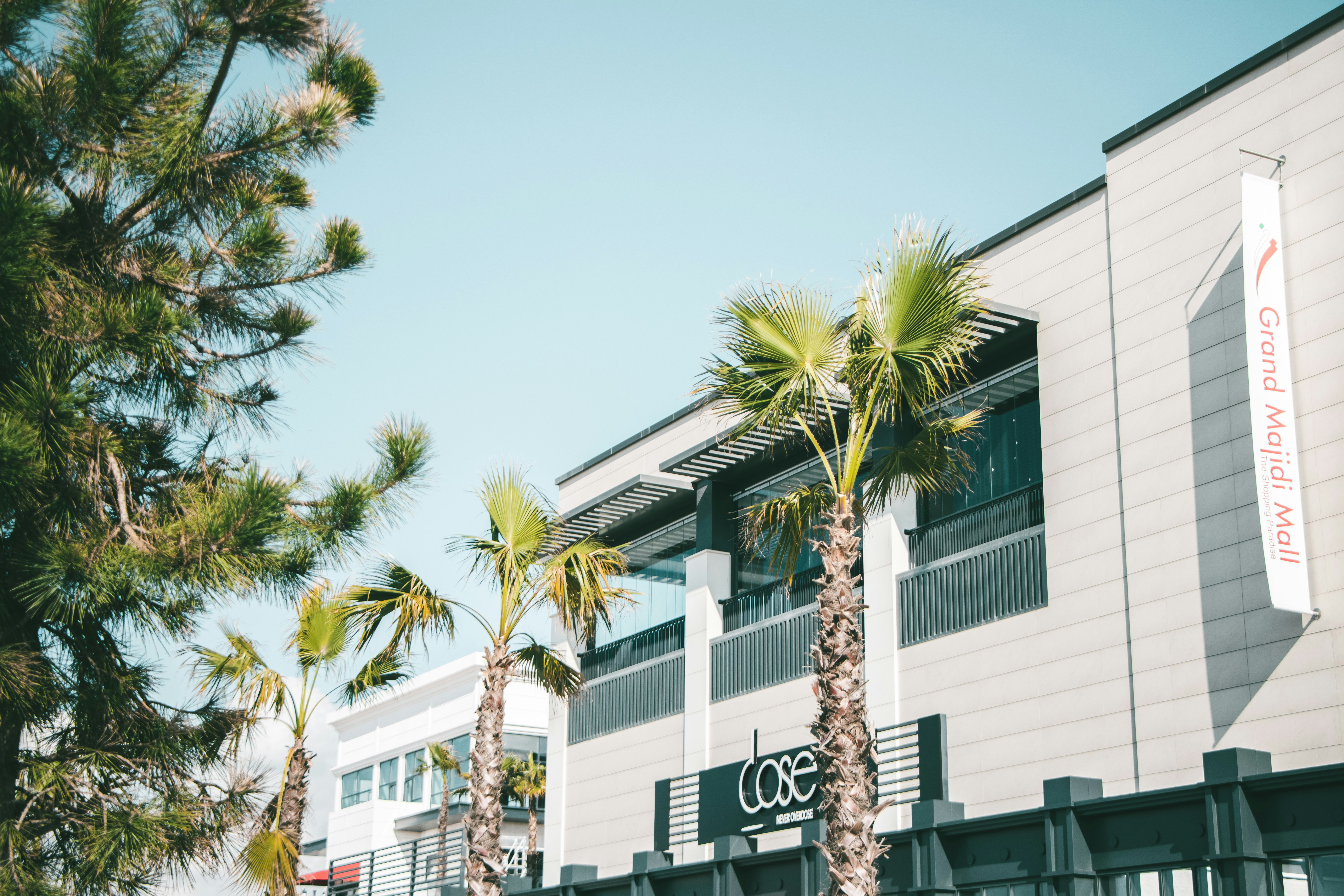 Photo by photographer_esmihel