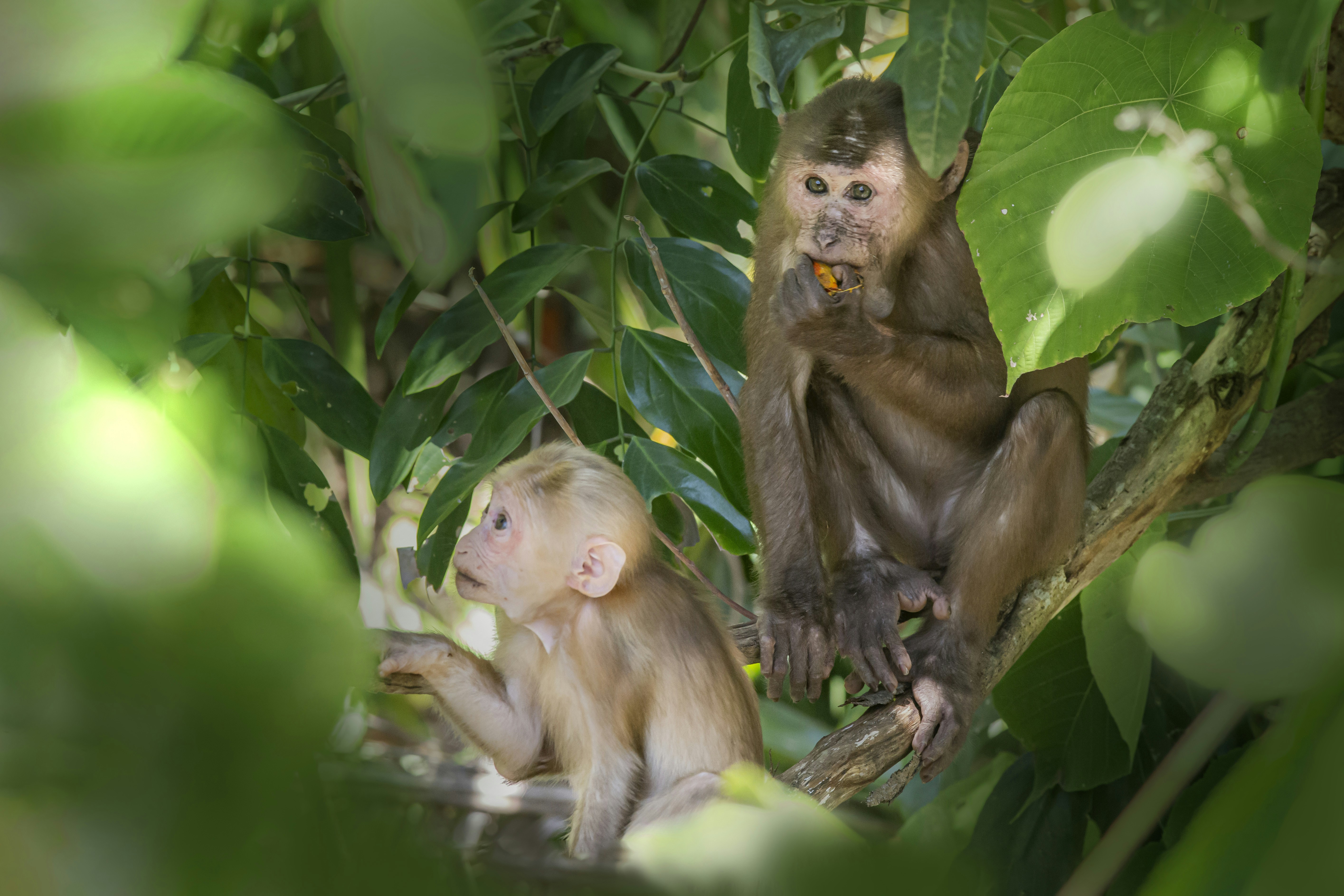 Photo by erik_karits