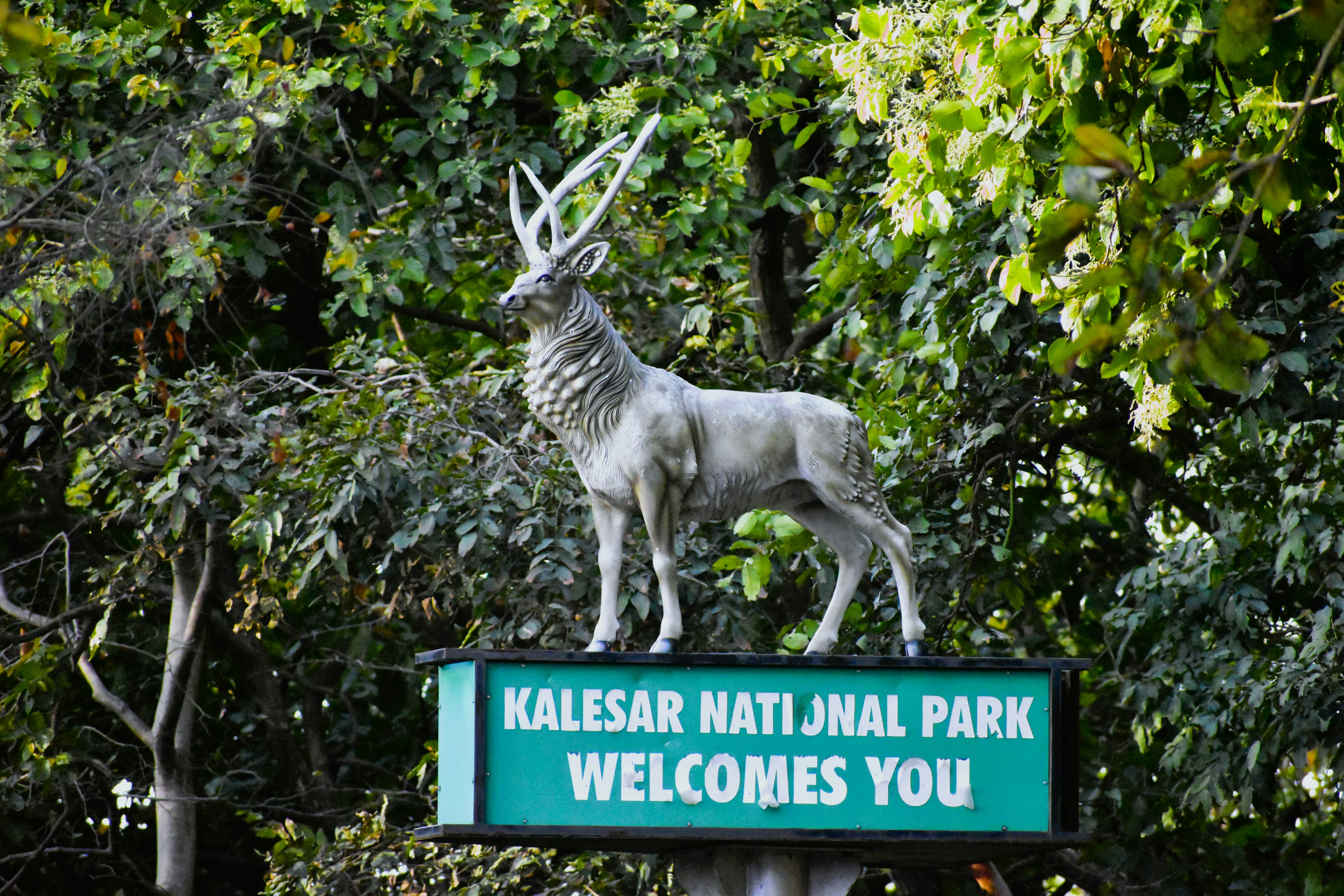 Way Kambas National Park