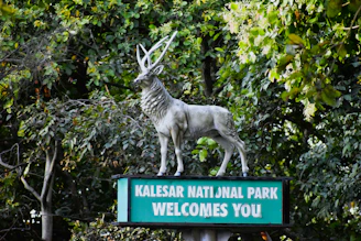 a statue of a goat on top of a welcome sign