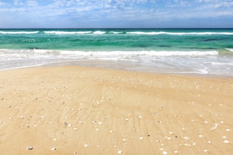 A sunlit hidden beach with turquoise water and a few scattered seashells on the shore.