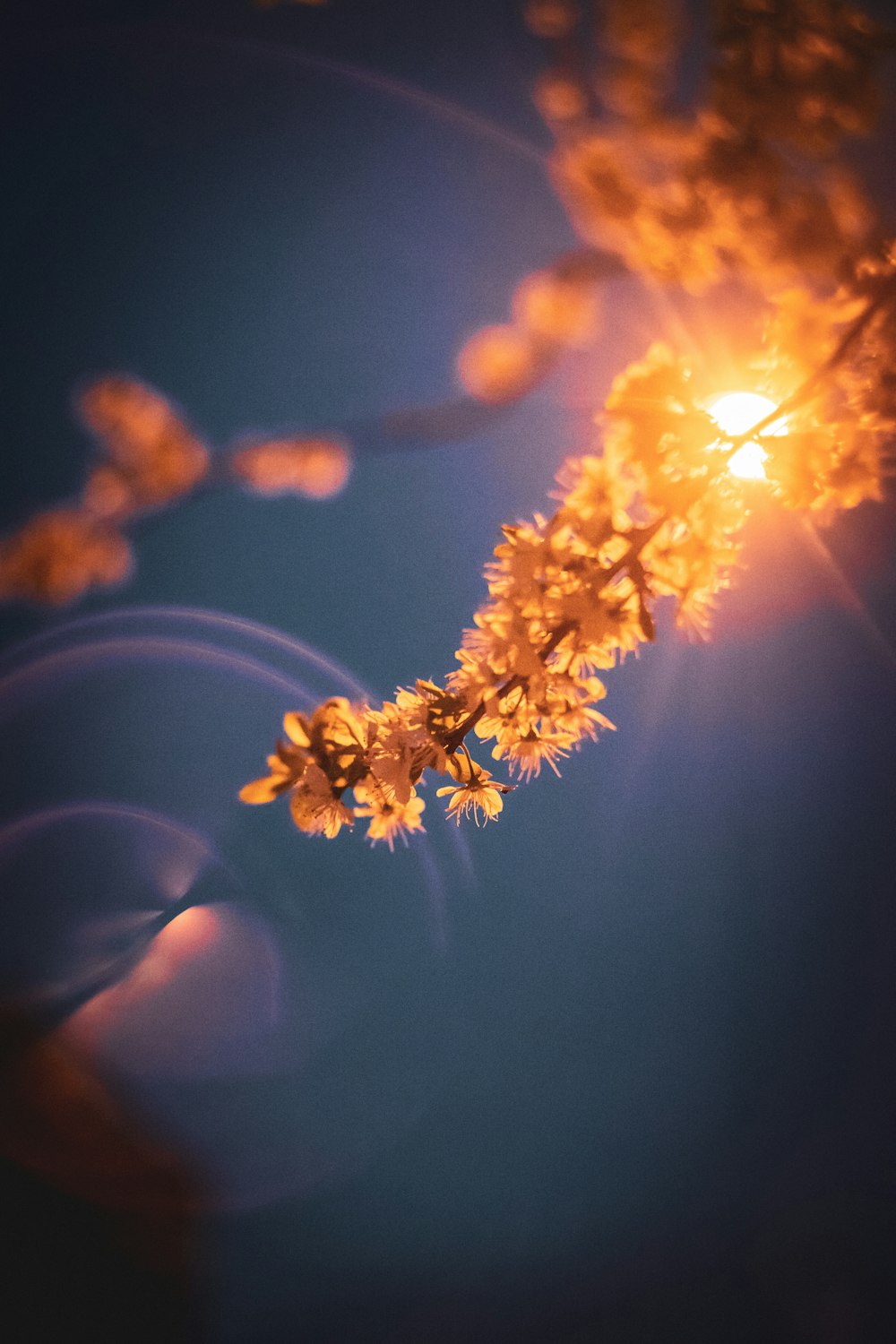 a close up of a flower on a tree branch