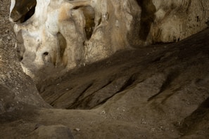 An artistic representation of human creativity in a cave setting.