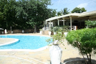 A serene outdoor setting with a large swimming pool surrounded by a stone patio. Lush green trees and shrubs provide shade and privacy. A white open-air structure with a roof offers seating and dining areas, adorned with white railings. Large white planters line the poolside, adding to the tropical and tranquil ambiance.