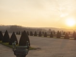 A formal garden landscape with conical hedges symmetrically arranged, leading into the distance. The sun is setting in the background, creating a warm glow across the sky and casting long shadows on the ground. In the foreground, a decorative urn with ornate sculptures is present.