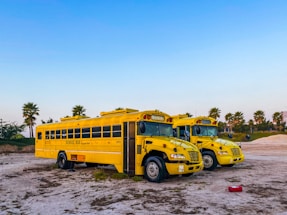 Two yellow school buses are parked on a sandy lot surrounded by palm trees. The clear blue sky above adds a serene backdrop to the image, while a fire extinguisher lies on the ground in front of the buses.