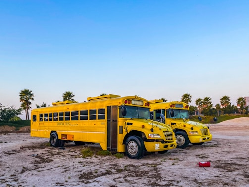 Two yellow school buses are parked on a sandy lot surrounded by palm trees. The clear blue sky above adds a serene backdrop to the image, while a fire extinguisher lies on the ground in front of the buses.
