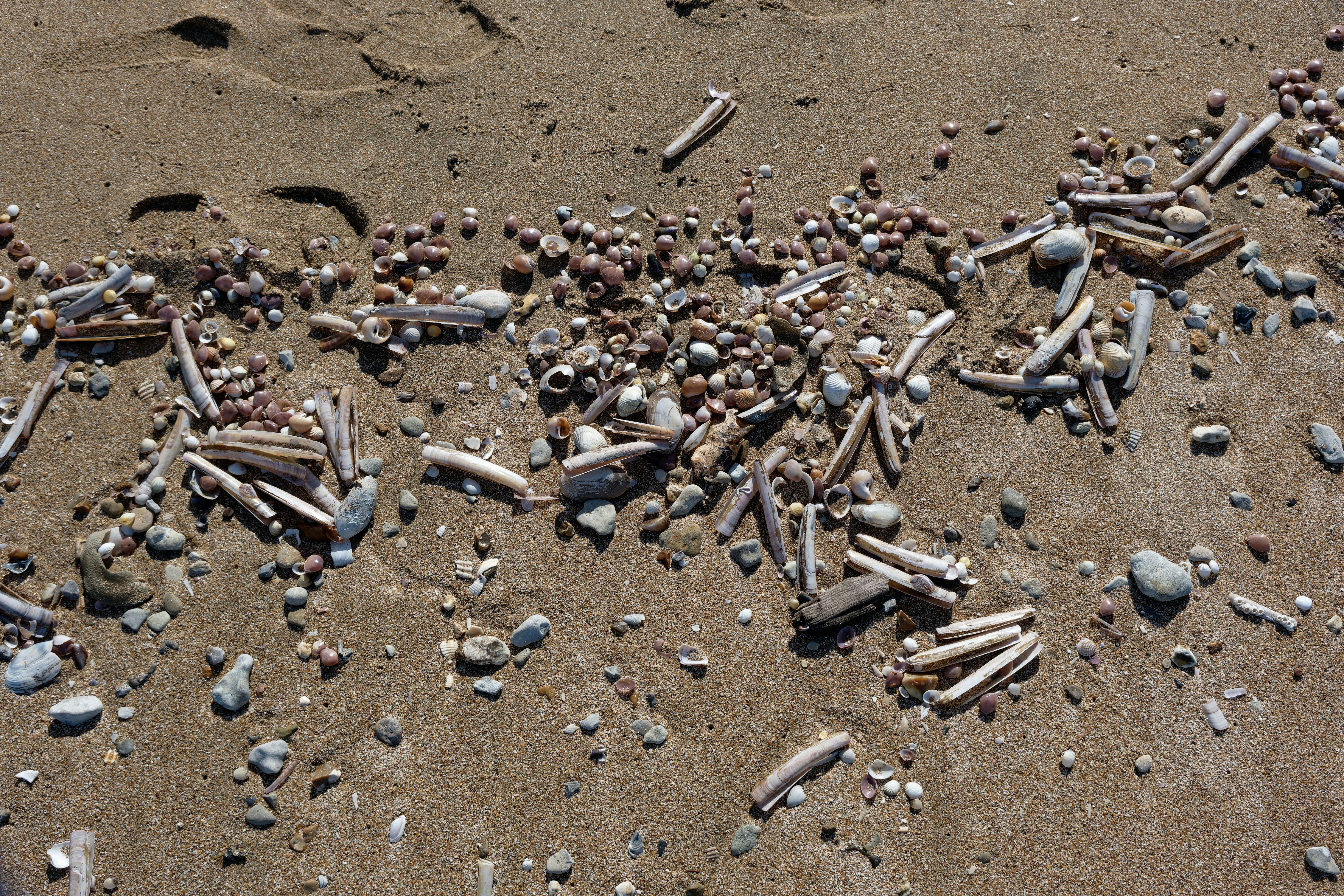 Photo by didier_provost