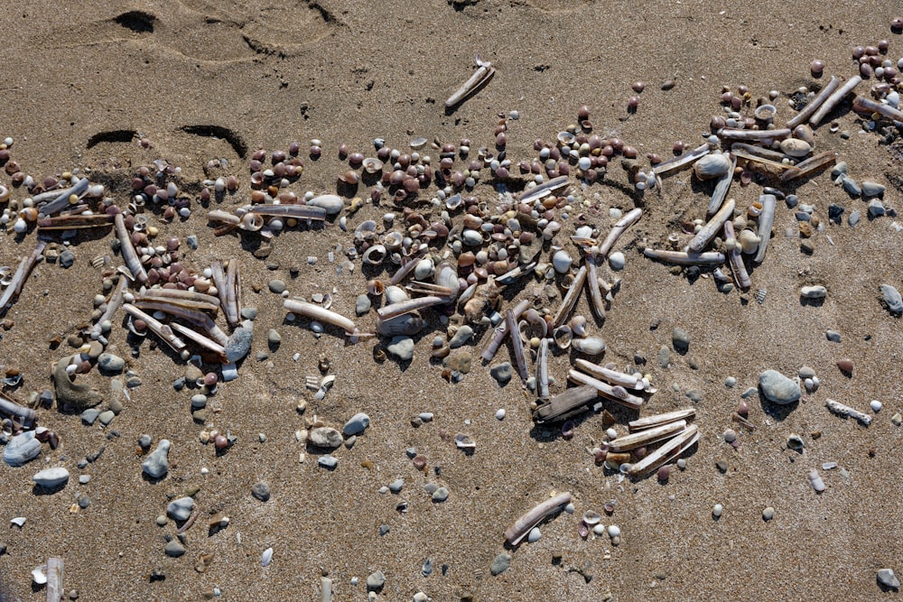 a bunch of sticks laying on top of a sandy beach