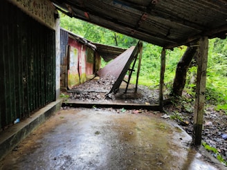 A dilapidated and abandoned shelter with a slanted tin roof, surrounded by dense greenery. The area is wet and littered with fallen leaves and twigs. The walls of the structure are discolored, featuring faded graffiti and moss growth.