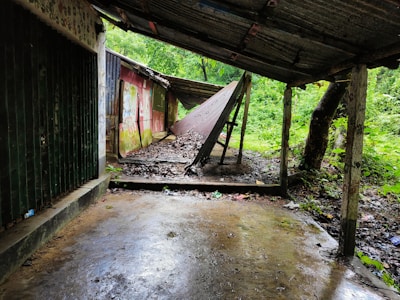 A dilapidated and abandoned shelter with a slanted tin roof, surrounded by dense greenery. The area is wet and littered with fallen leaves and twigs. The walls of the structure are discolored, featuring faded graffiti and moss growth.