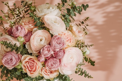 Photo 1680166640123 Ae181b8ffecc?q=85&w=400&h=300&fit=crop