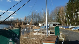 Club members enjoying a lakeside barbecue with sailboats in the background.