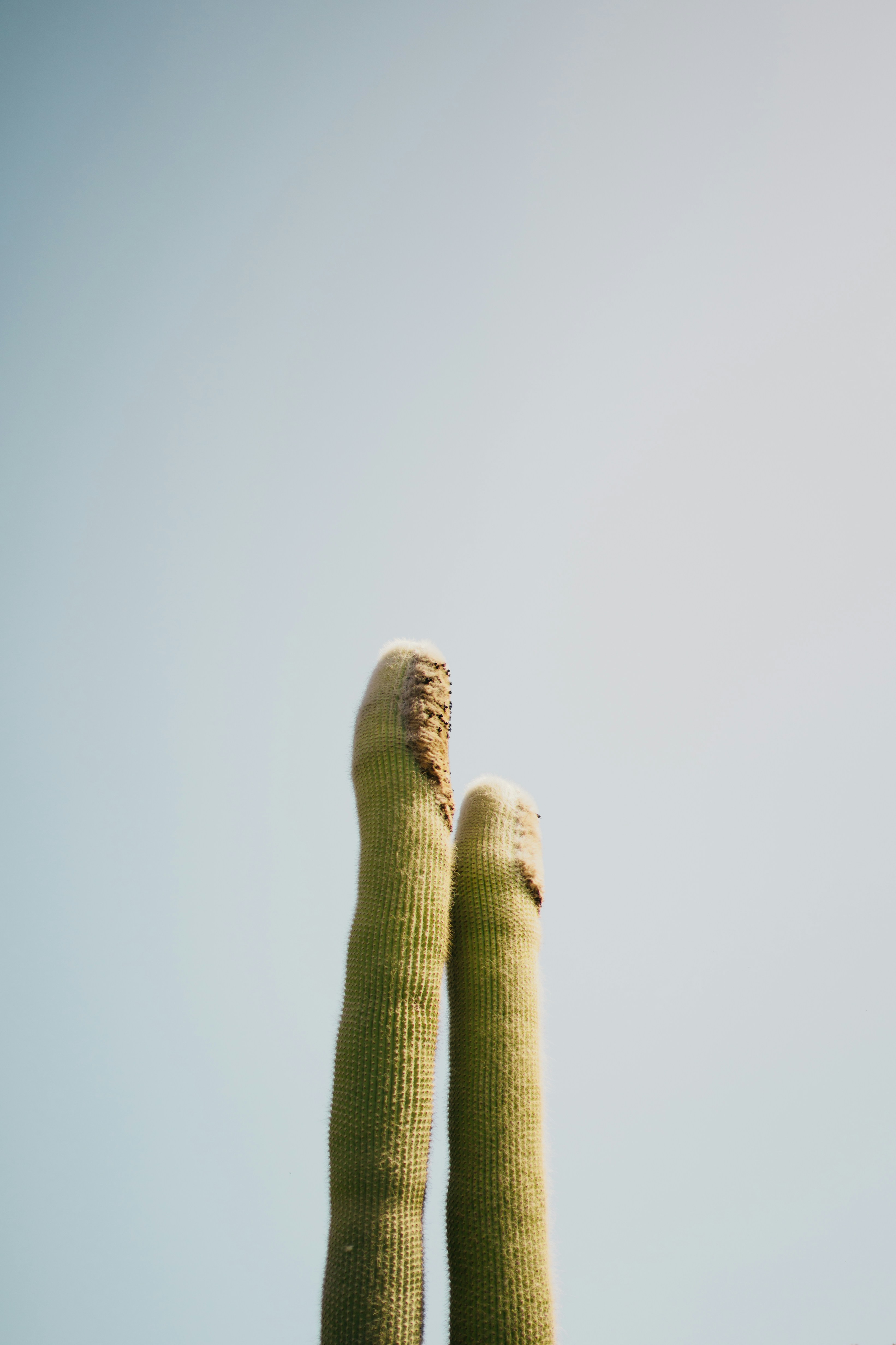 Photo by elisadventure_photo