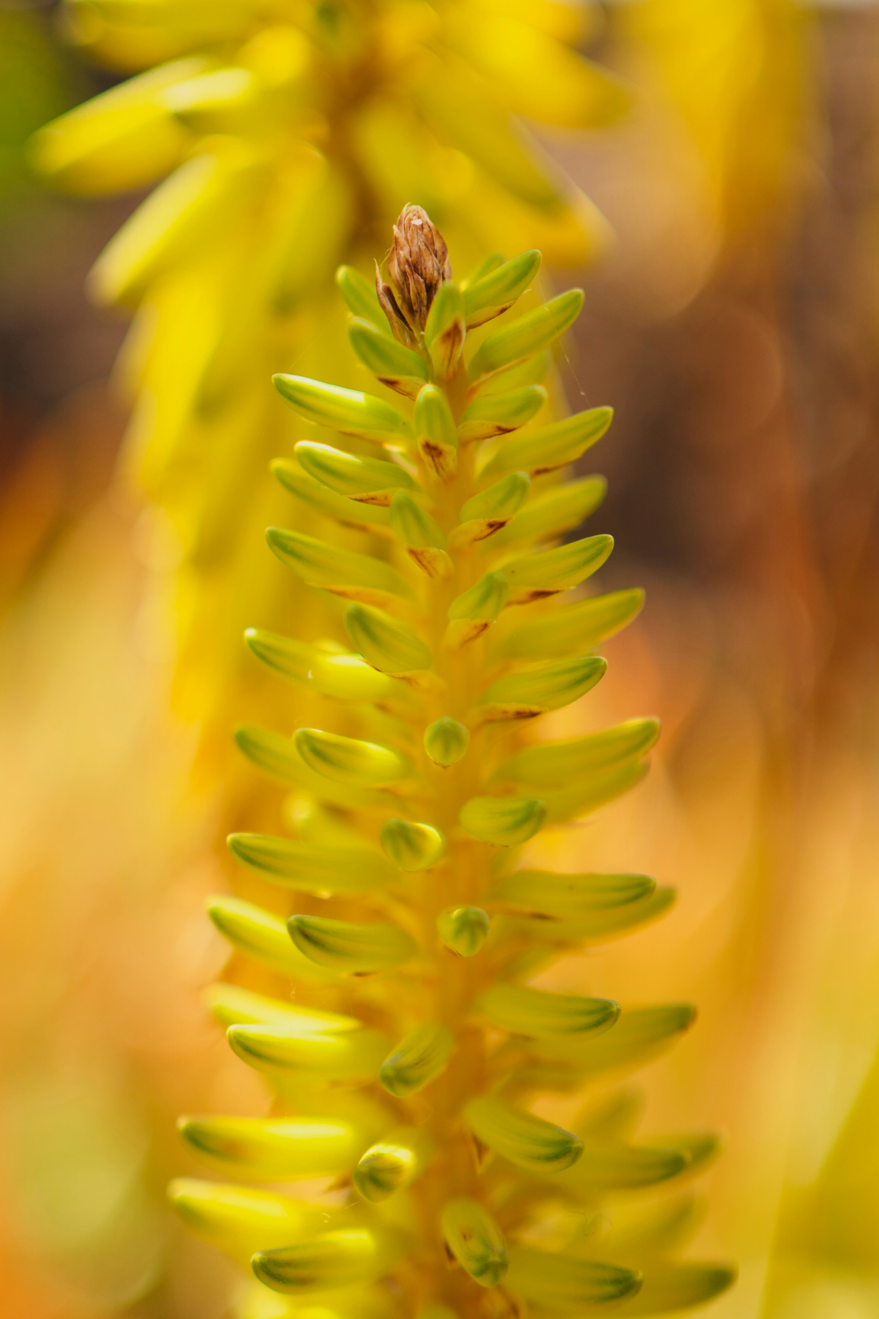 Photo by elisadventure_photo