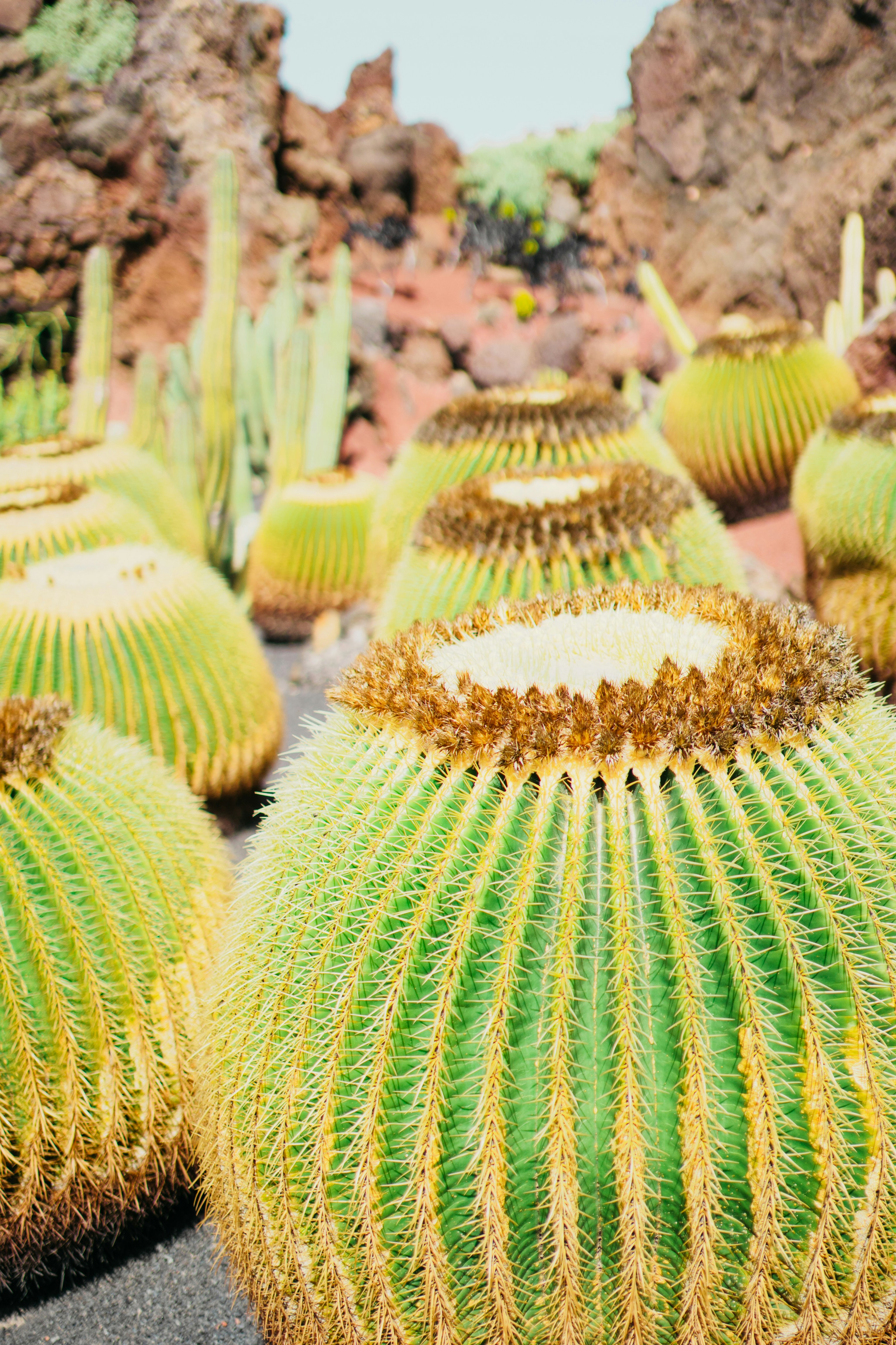 Photo by elisadventure_photo