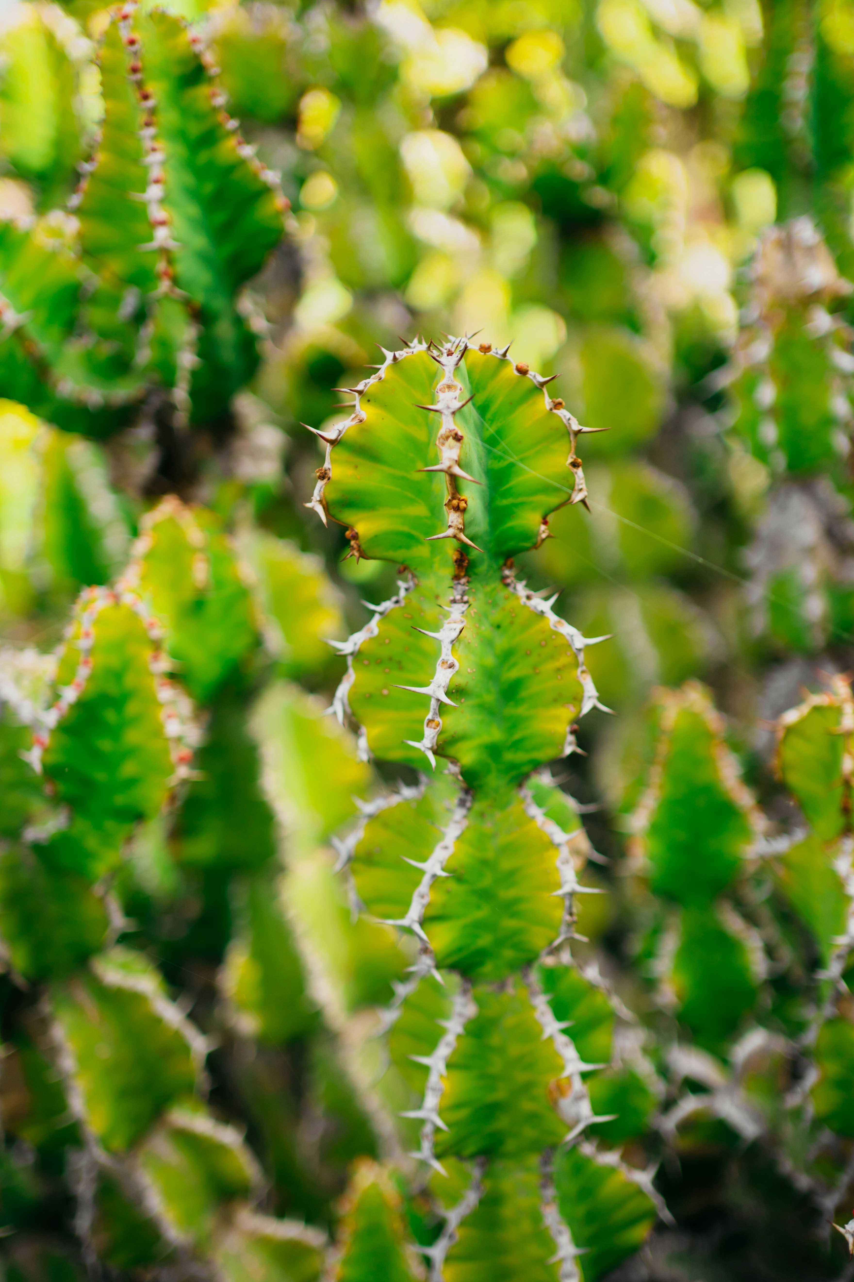 Photo by elisadventure_photo