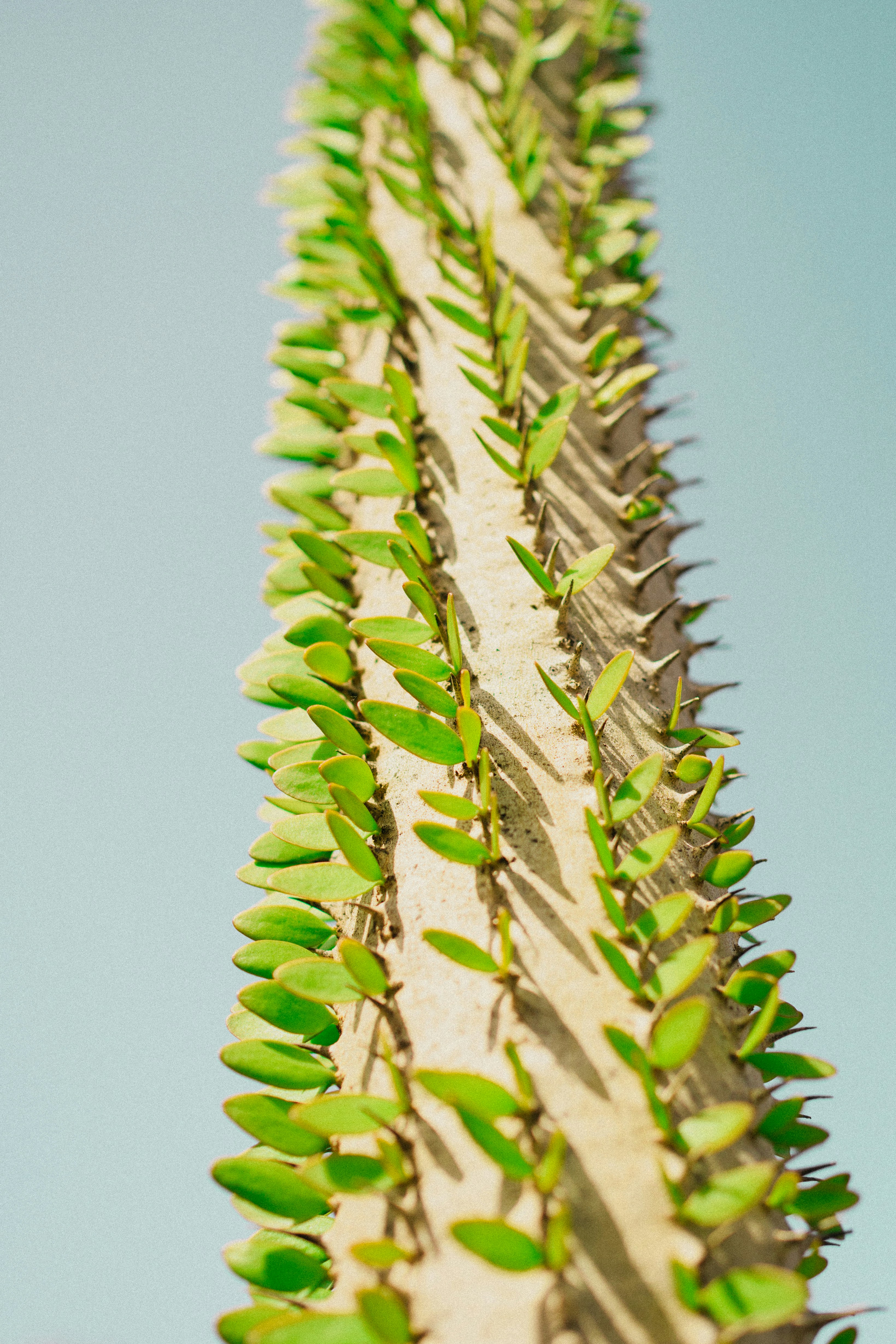 Photo by elisadventure_photo