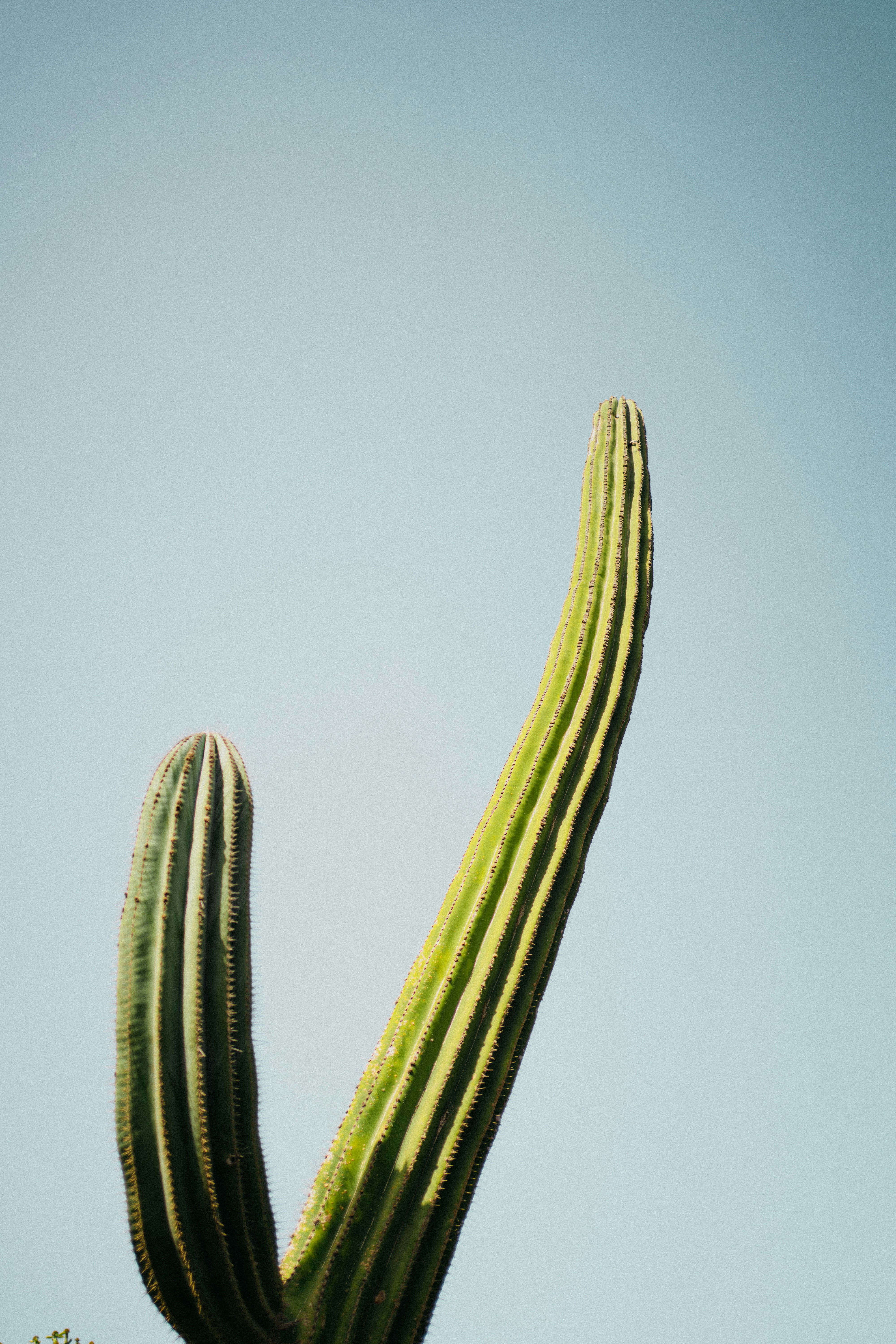 Photo by elisadventure_photo