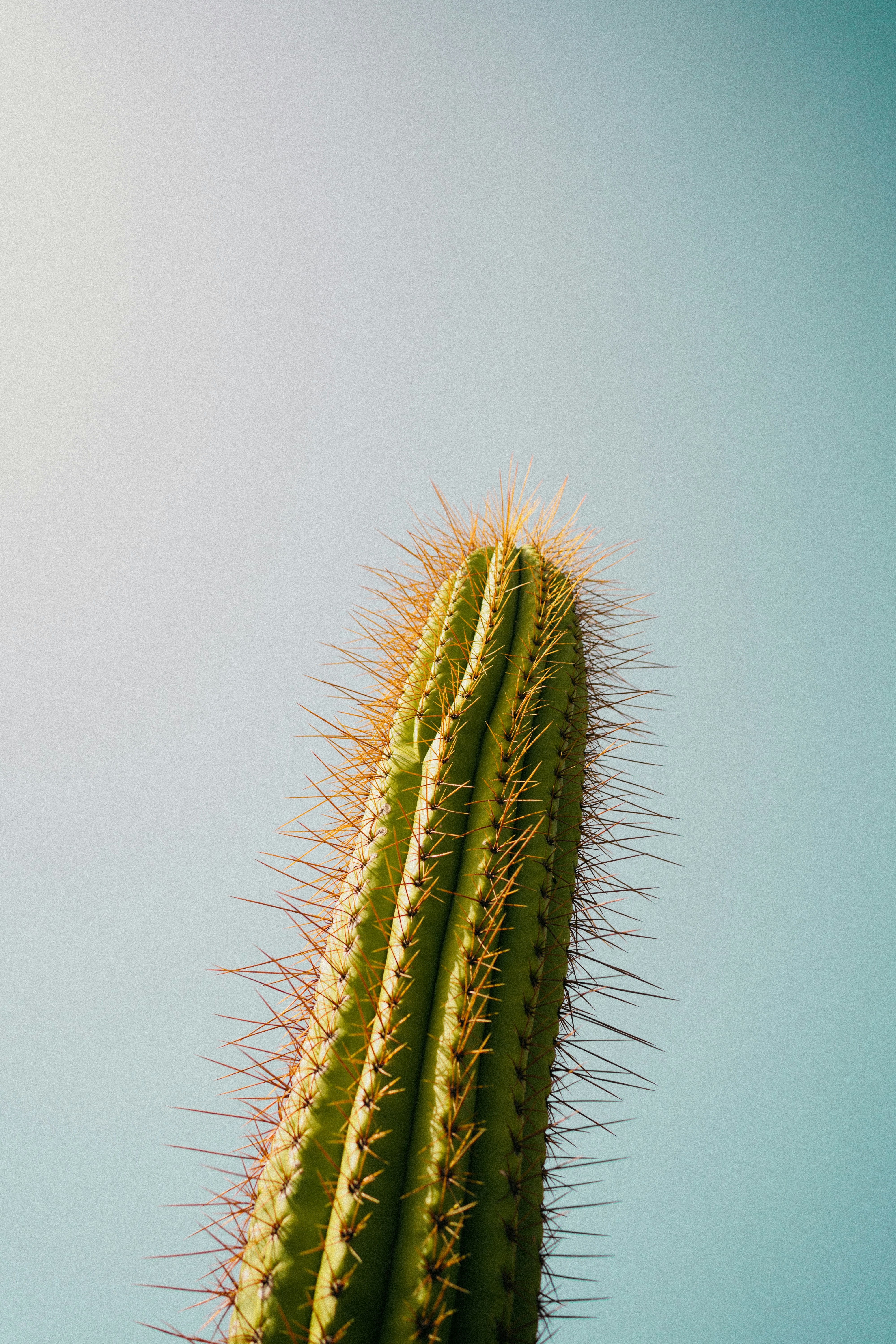 Photo by elisadventure_photo