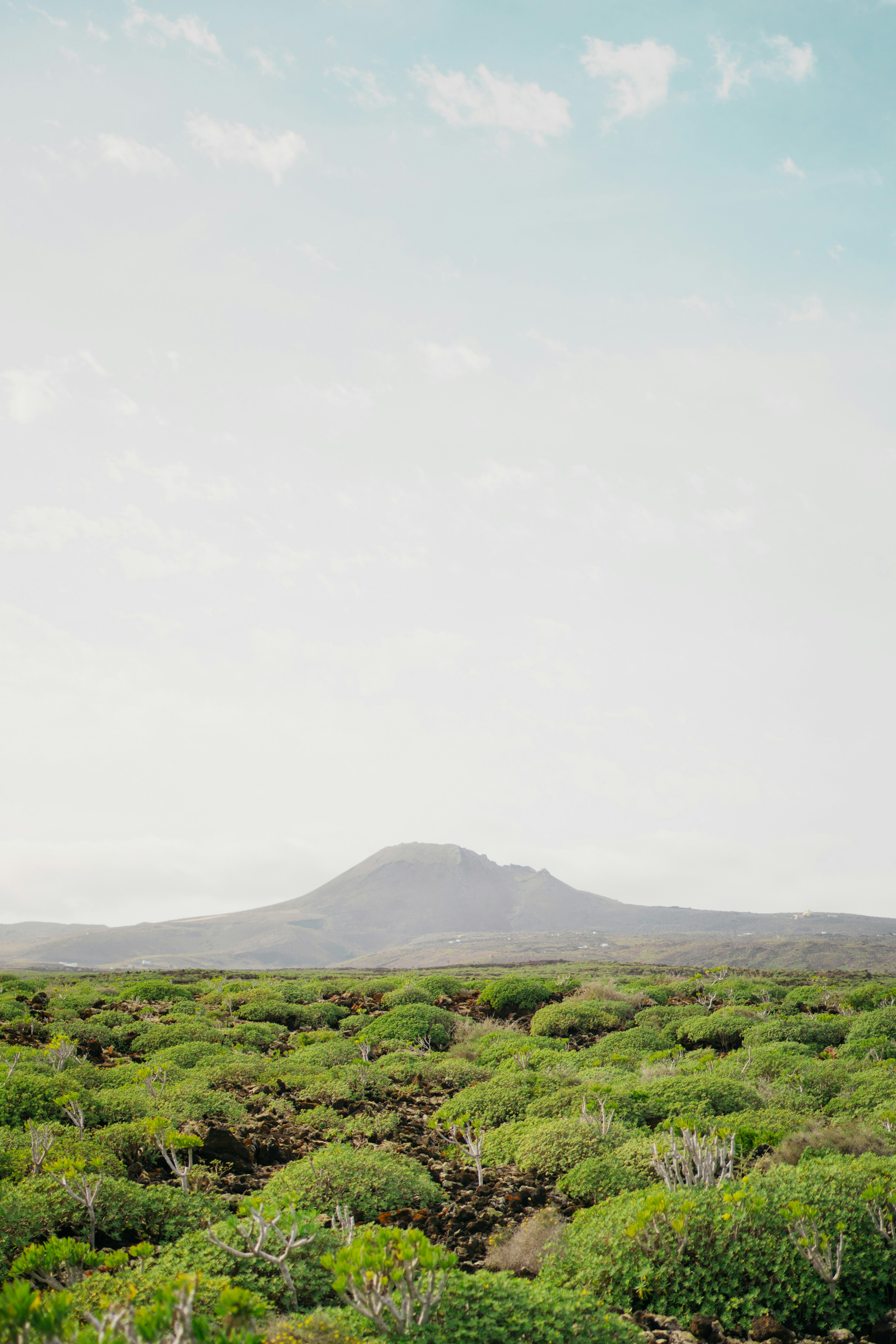 Photo by elisadventure_photo