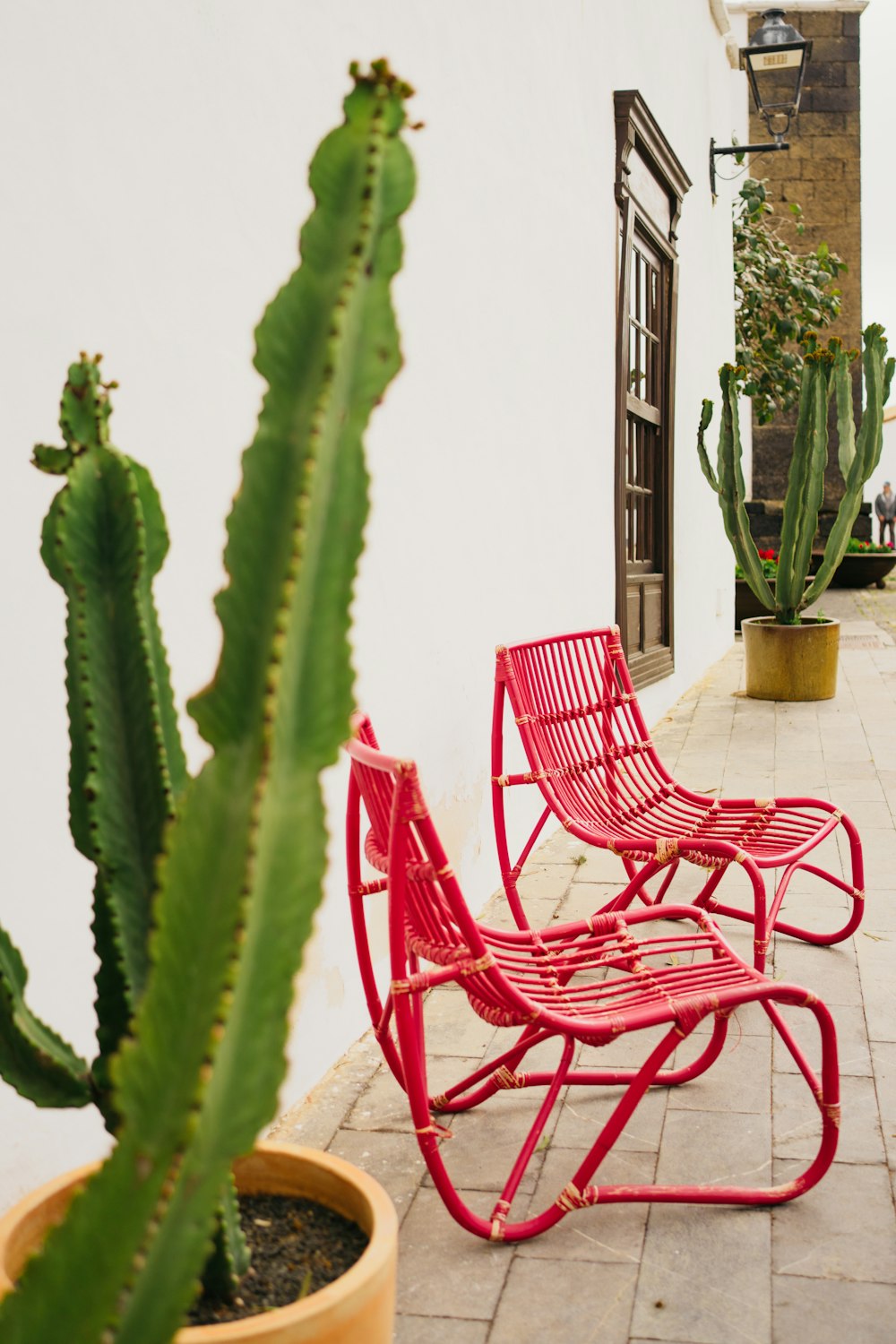 a couple of red chairs sitting next to a cactus
