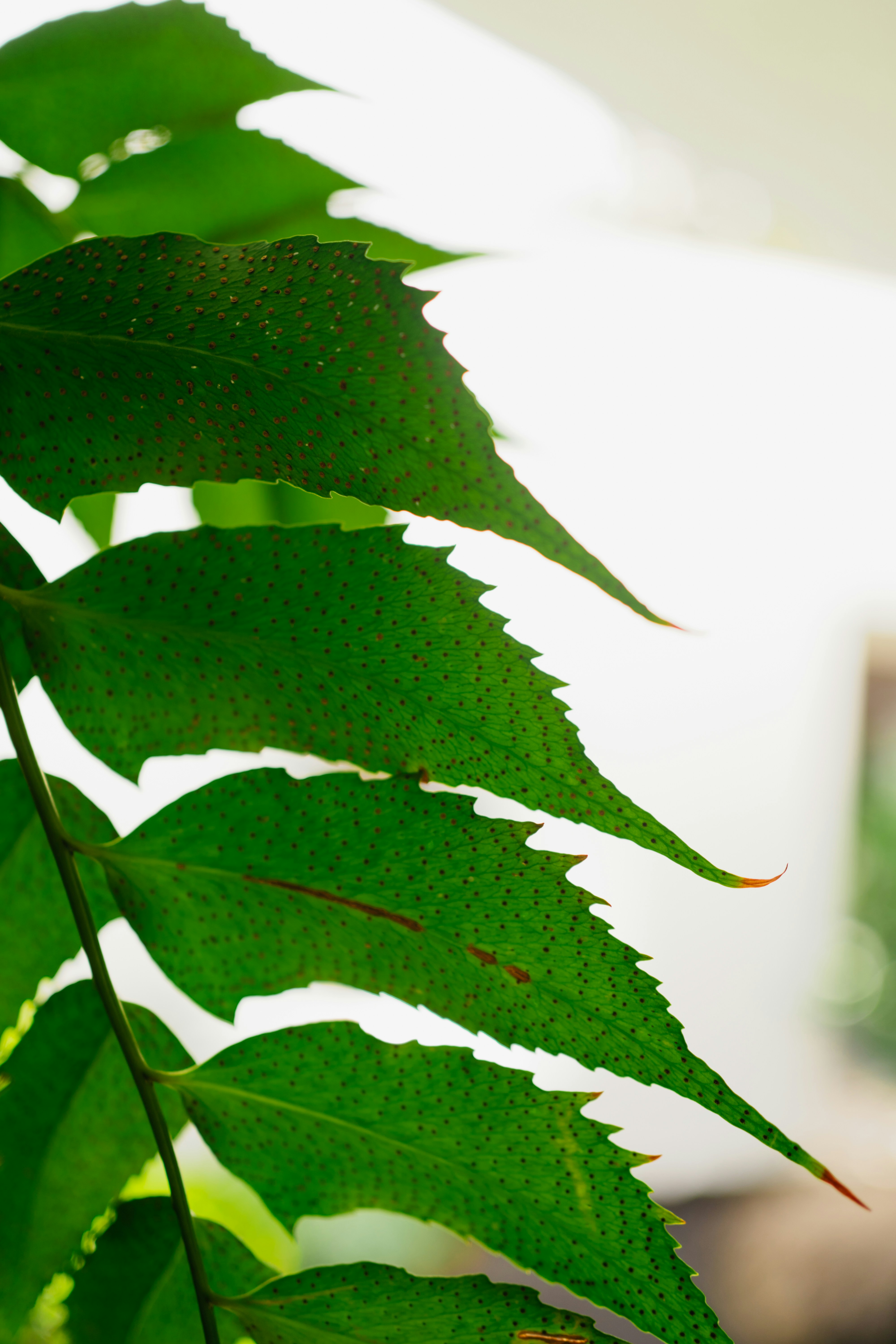 Photo by elisadventure_photo