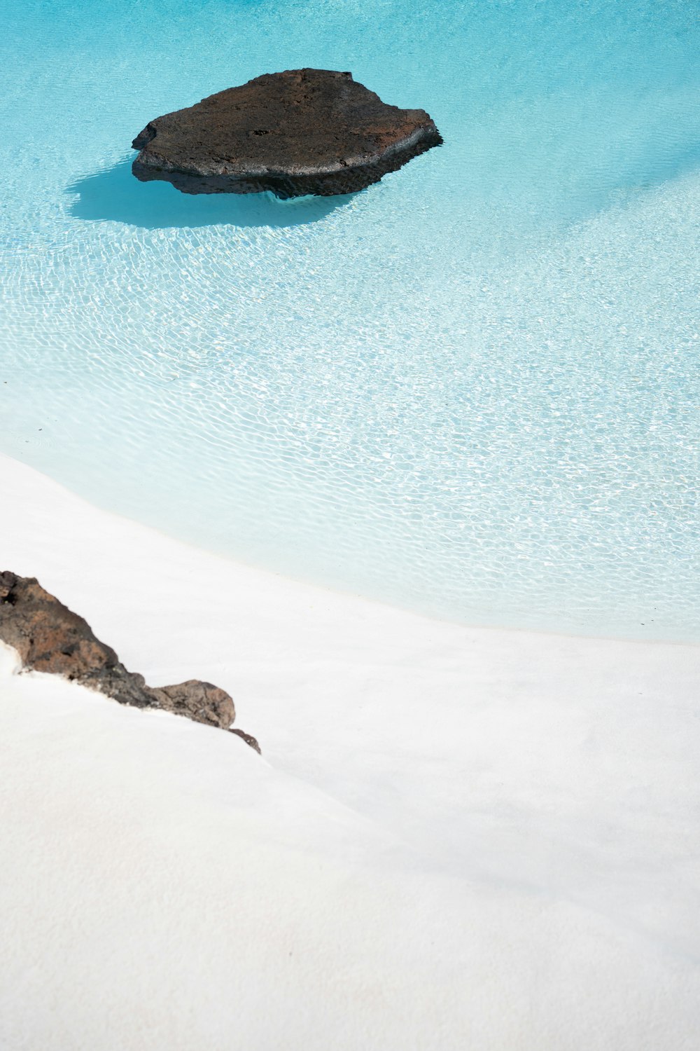 a bird is standing in the snow near a rock