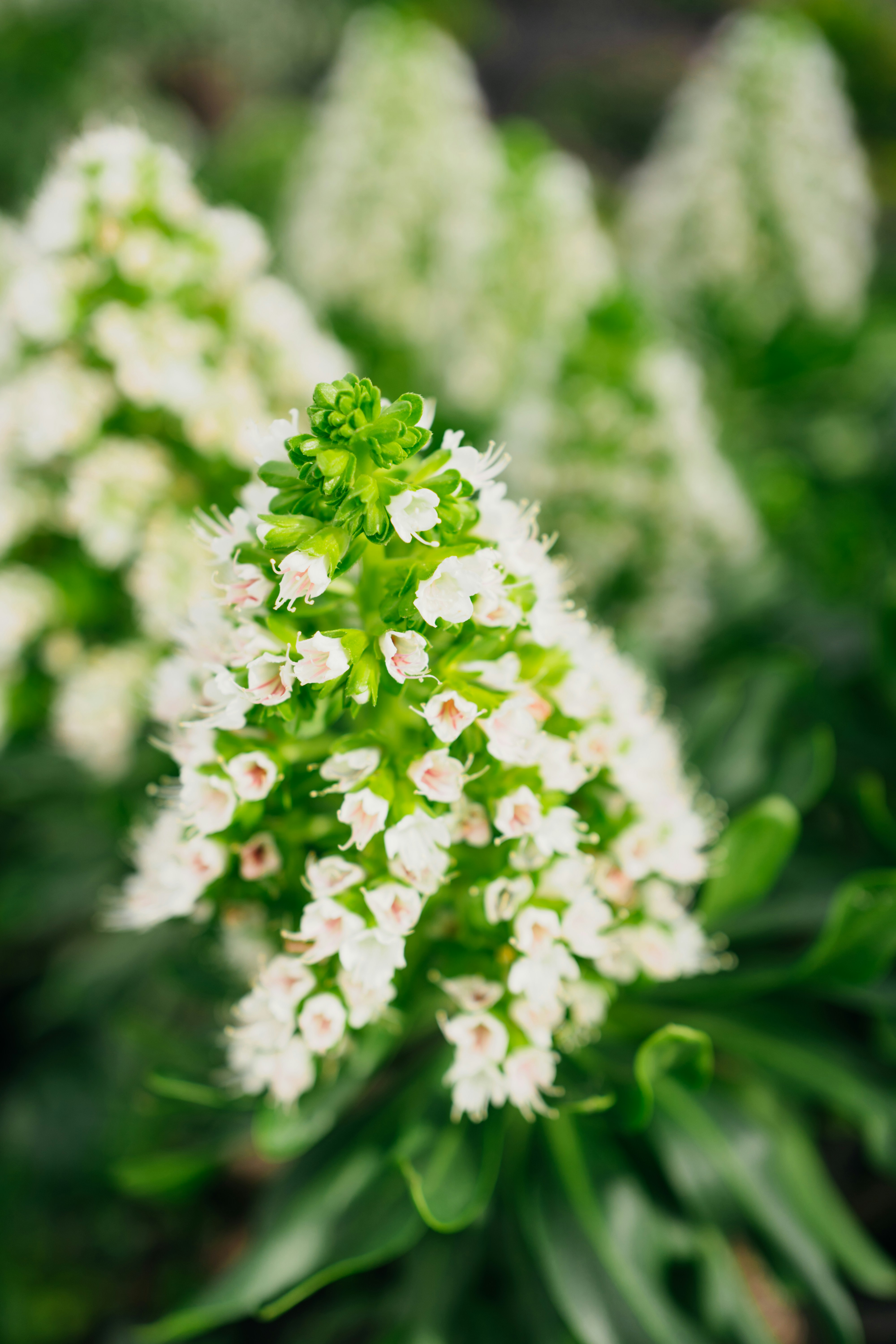 Photo by elisadventure_photo