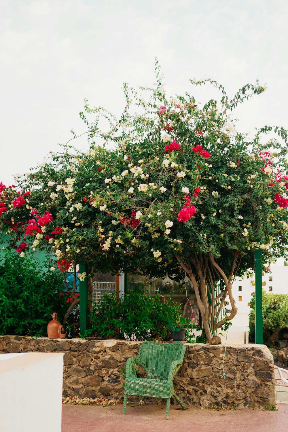 a green chair sitting under a tree with pink and white flowers