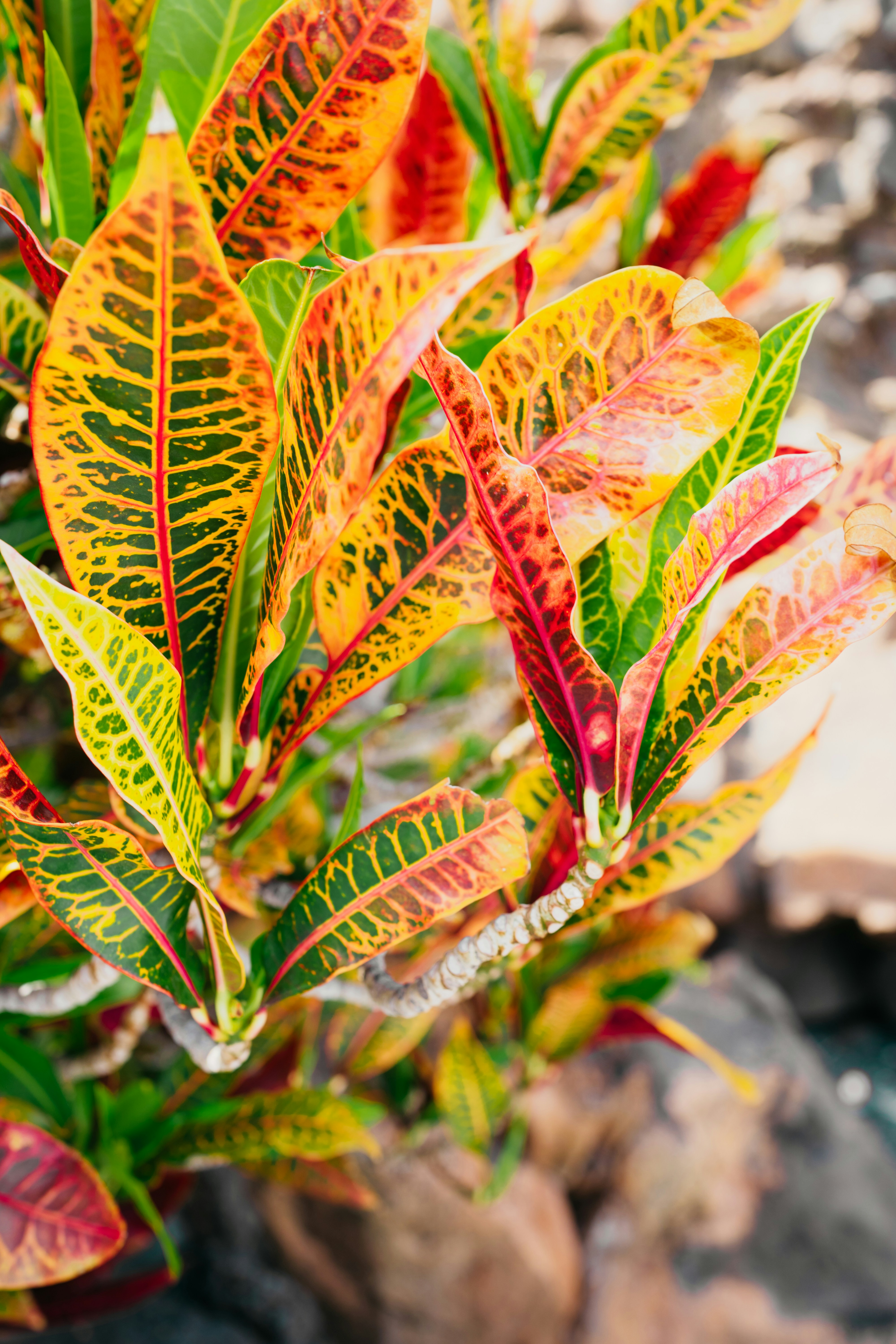 Photo by elisadventure_photo