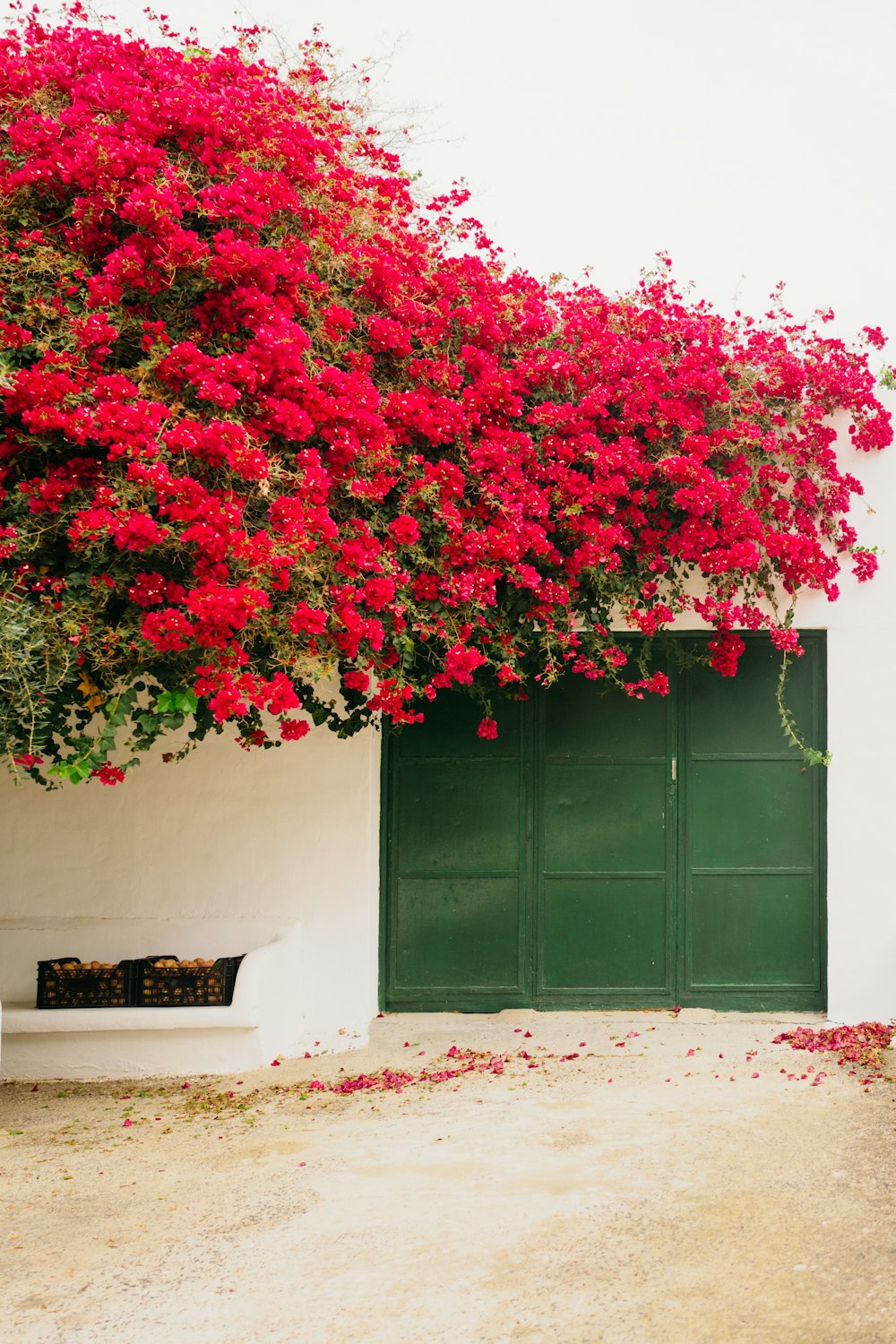a white building with a green door and red flowers on it