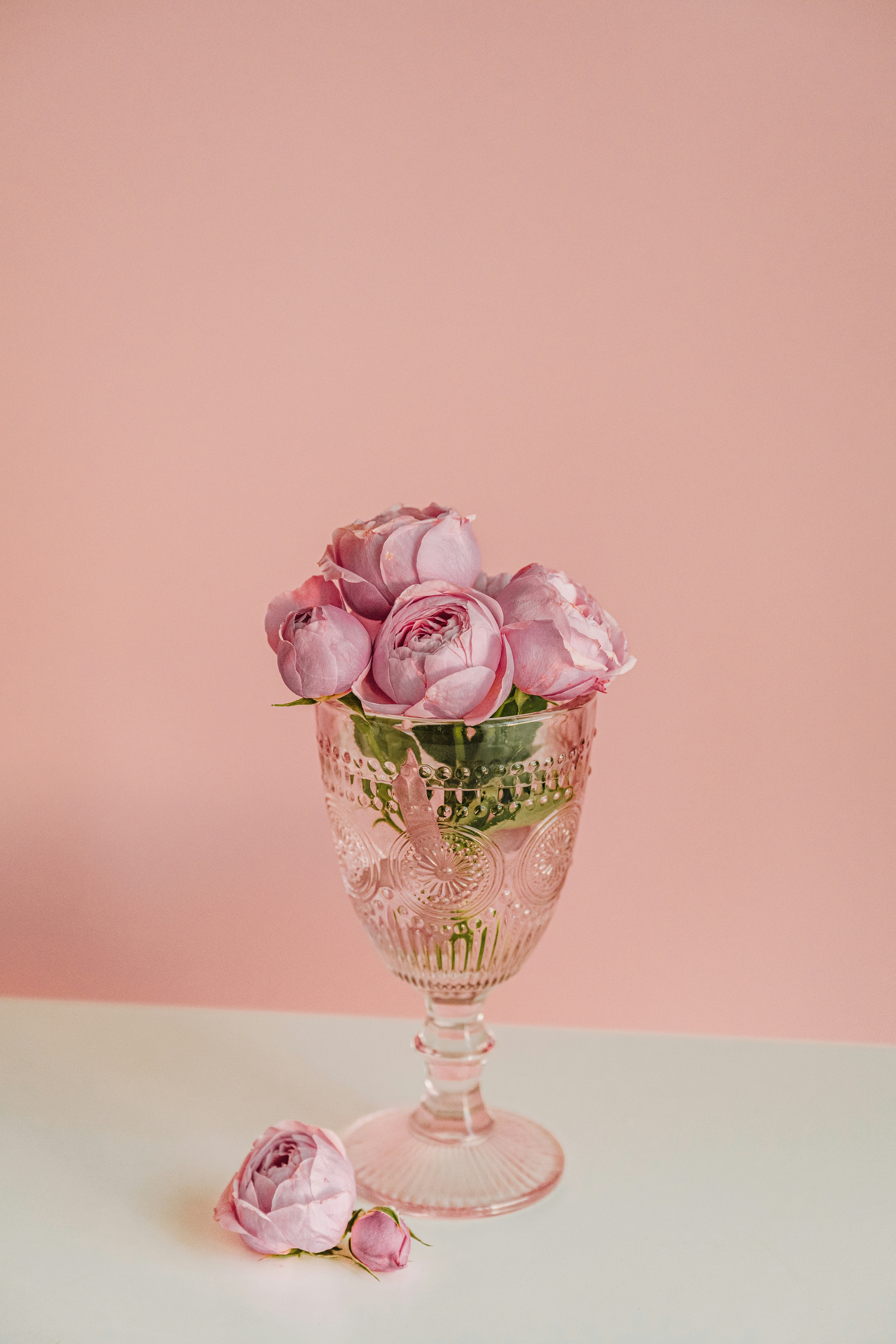 Photo by anitaaustvika