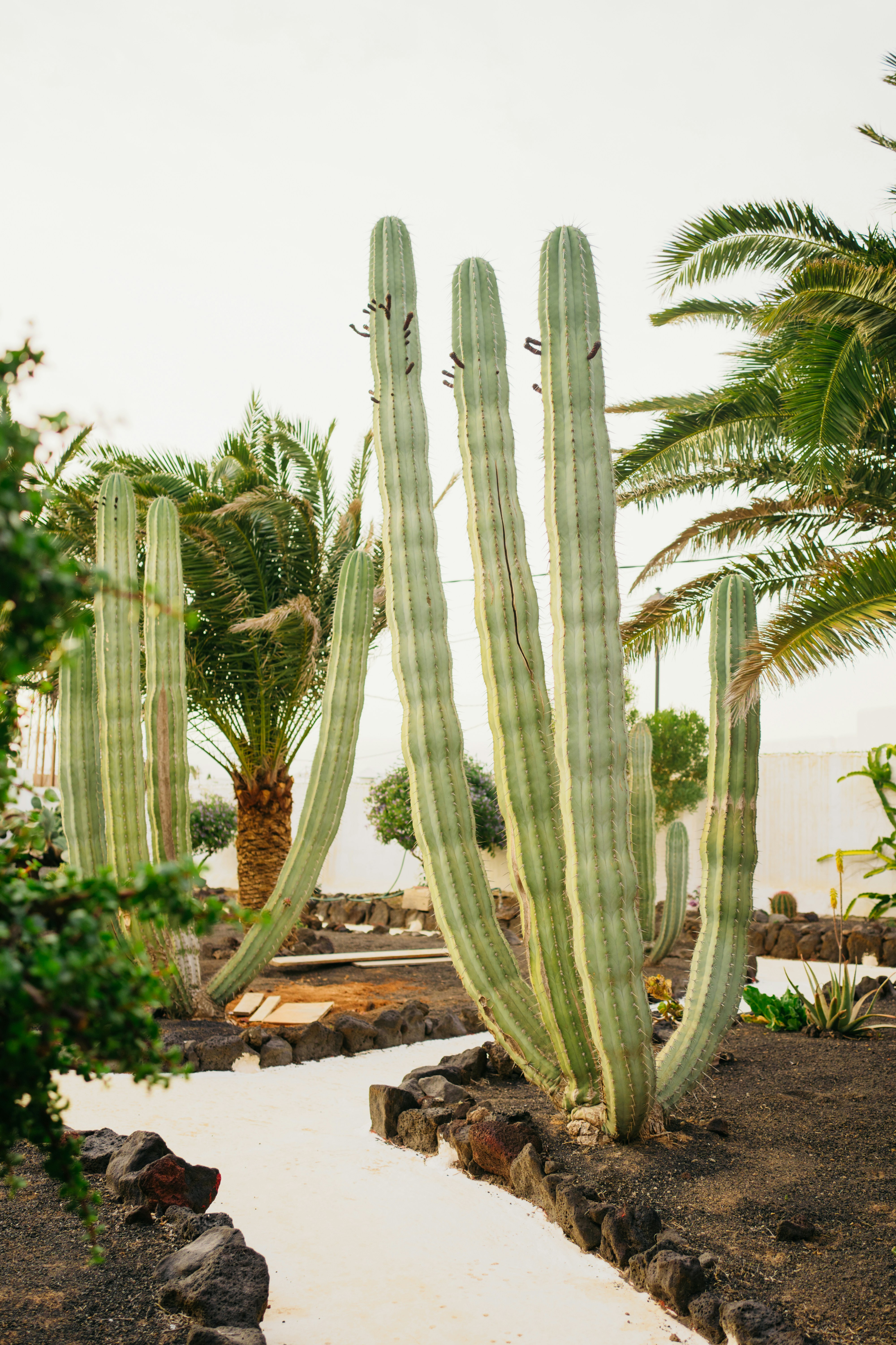 Photo by elisadventure_photo