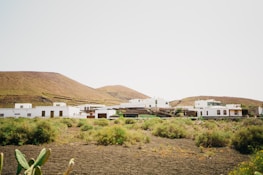 Historic colonial architecture framed by desert plants and clear blue skies.