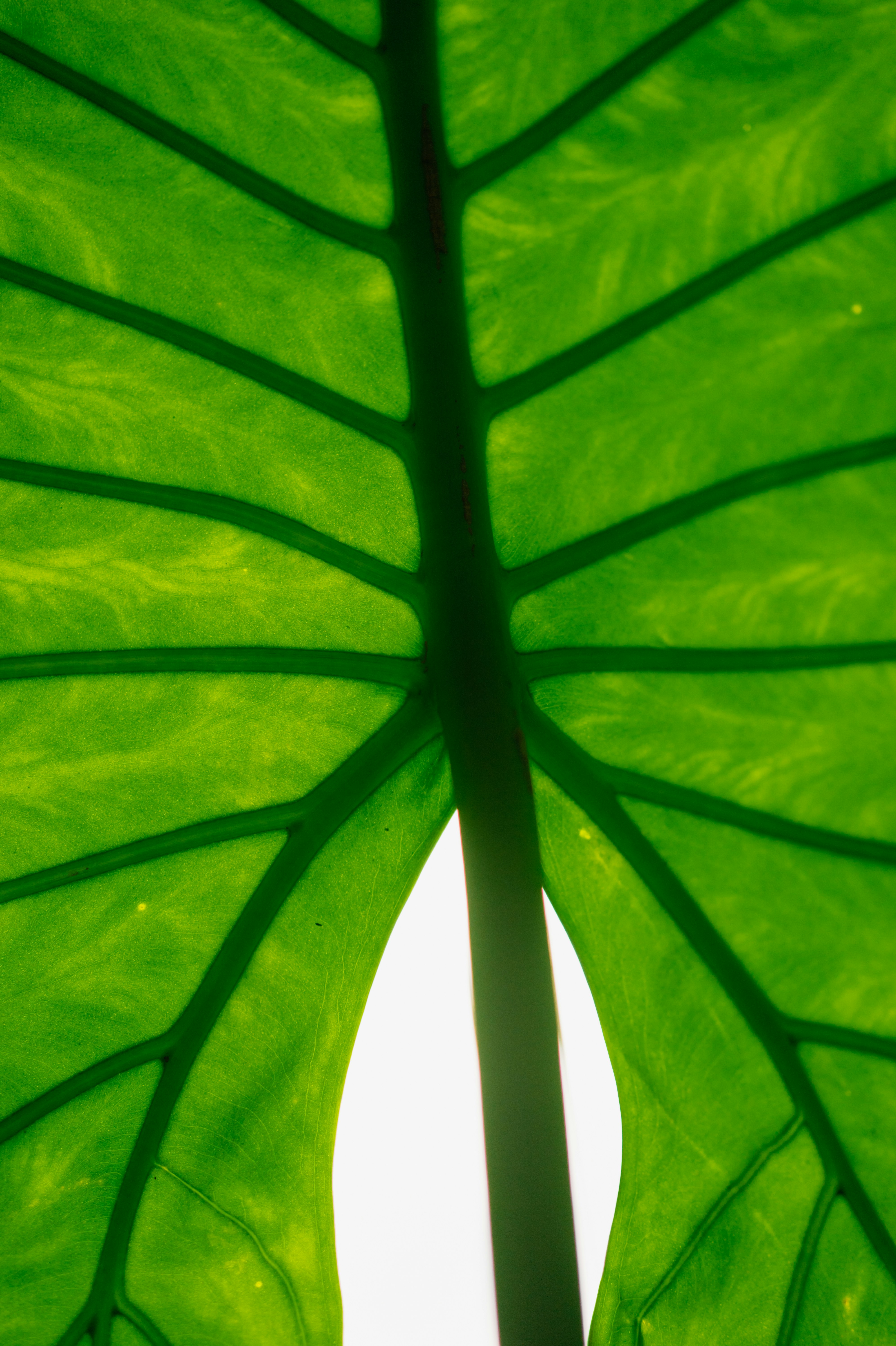 Photo by elisadventure_photo