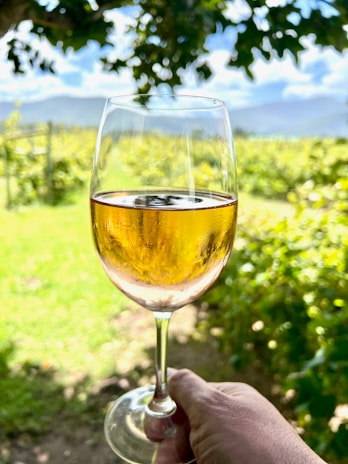 A hand is holding a glass of white wine against a background of a sunny vineyard. The glass is clear with the wine's golden hue prominently visible. Green leaves and blue sky with mountains in the distance add to the picturesque outdoor setting.