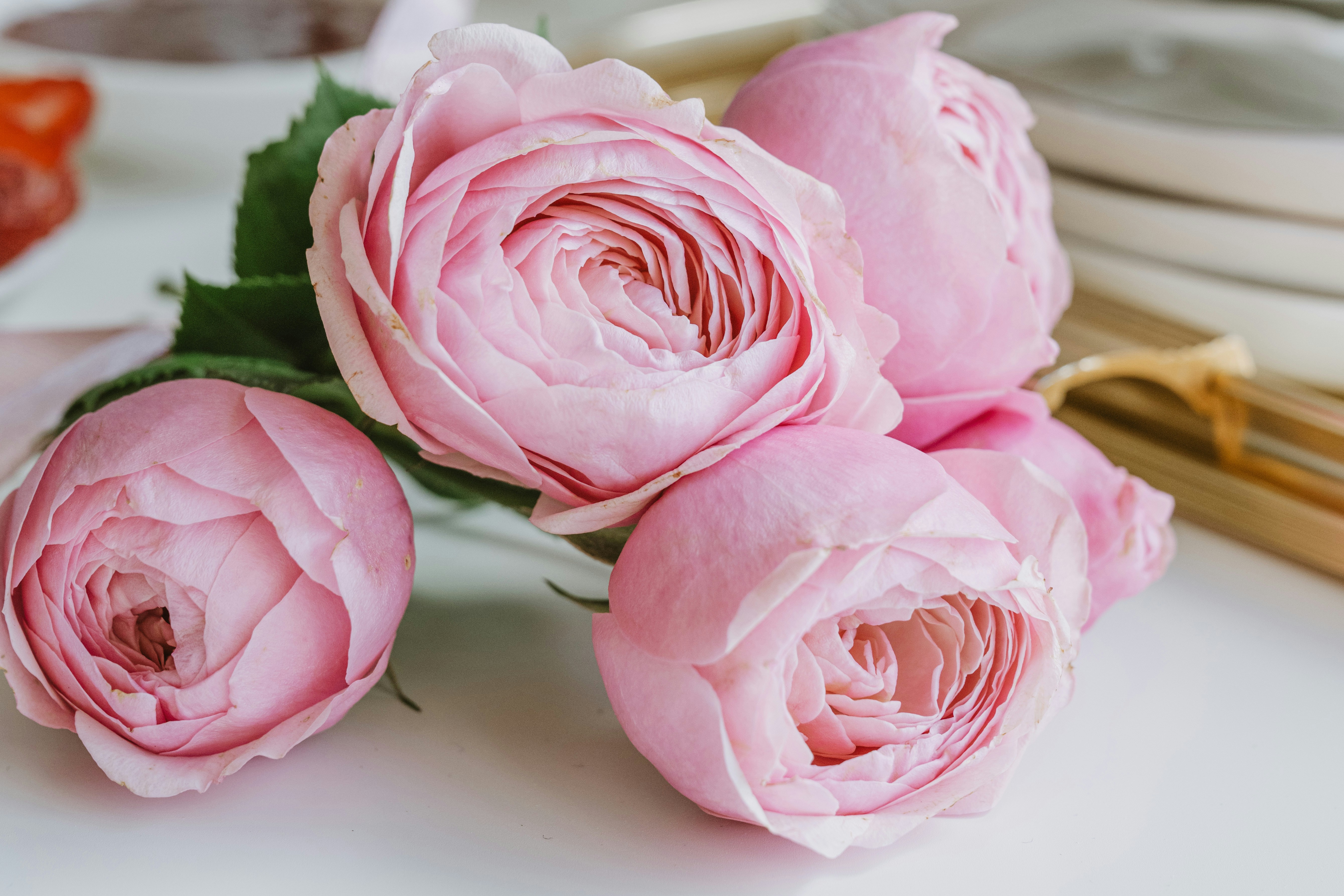 Photo by anitaaustvika