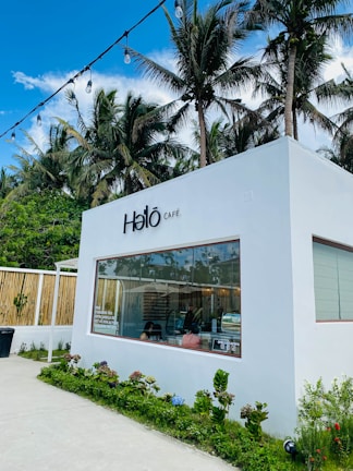 A modern café with a white minimalist exterior is surrounded by tropical palm trees. The building features a large window through which the interior is partially visible, showing customers inside. The outdoor area has a small garden with vibrant green plants and bushes. Decorative string lights hang above, adding a cozy ambiance to the setting.