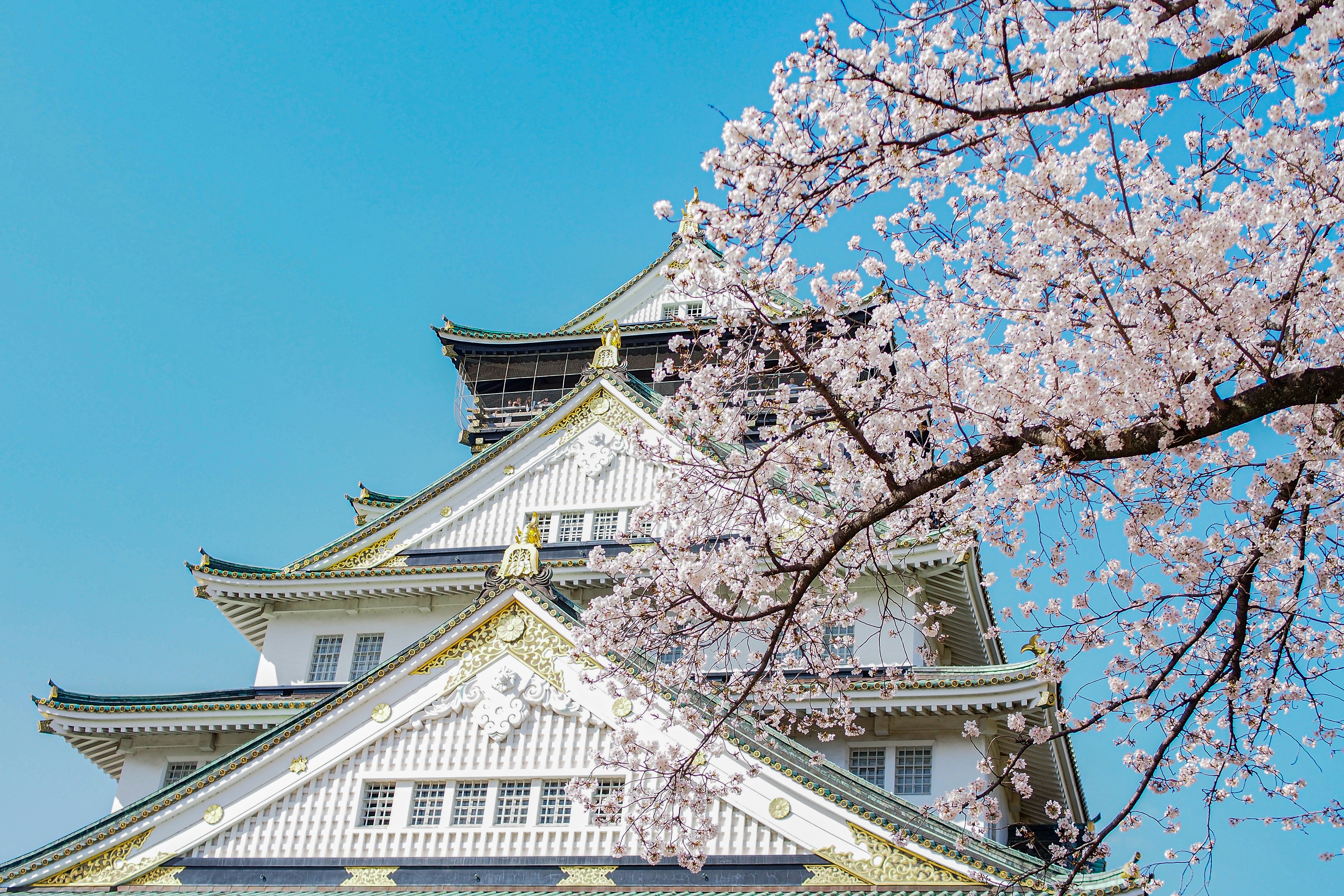 Photo by pontanishida