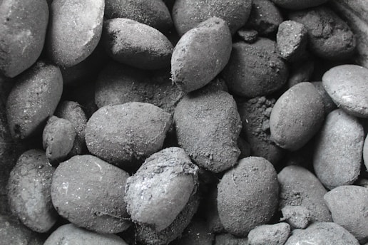 Hand holding a handful of compact charcoal briquettes with a rustic background.