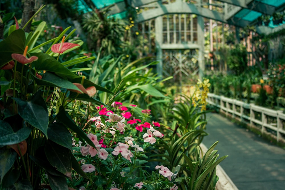 a greenhouse filled with lots of plants and flowers
