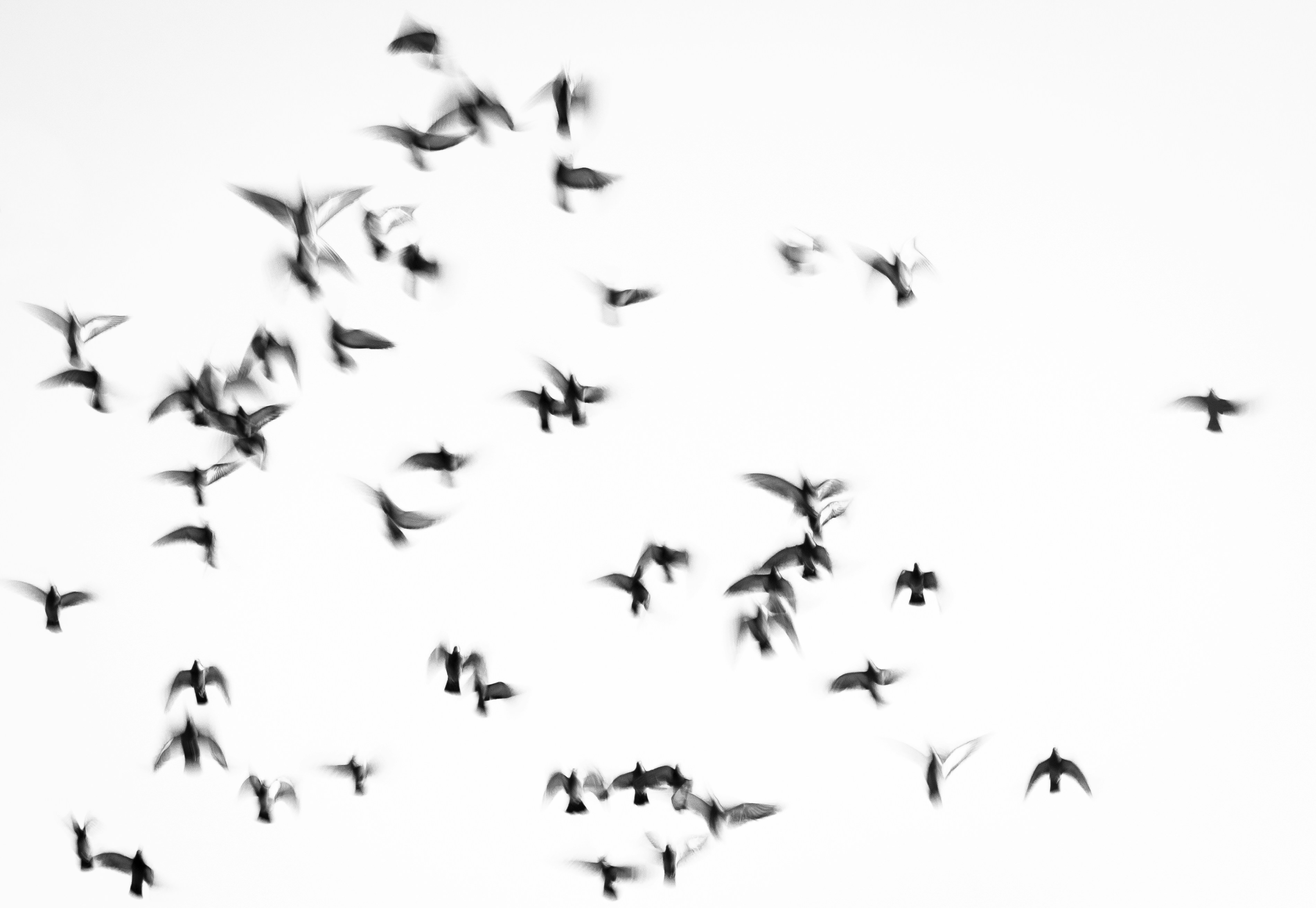 Photo by devinwrightphotography