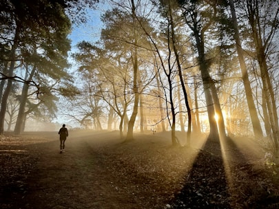 Runner training on a forest trail during sunrise, showing determination and focus.