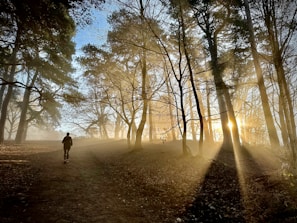 Runners passing through a sunlit forest path lined with wildflowers.